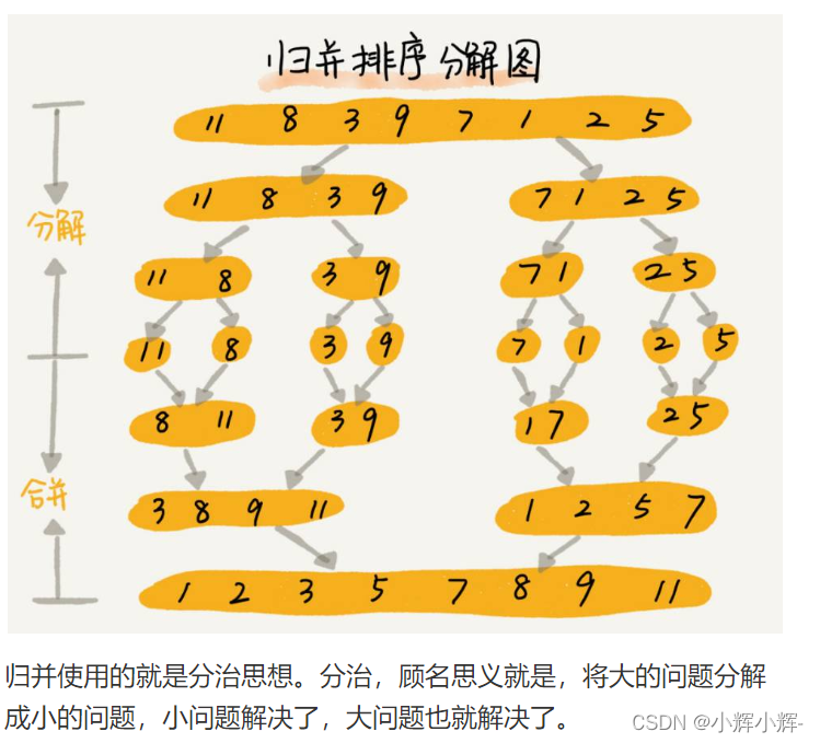 所有图片均来自极客时间王争老师