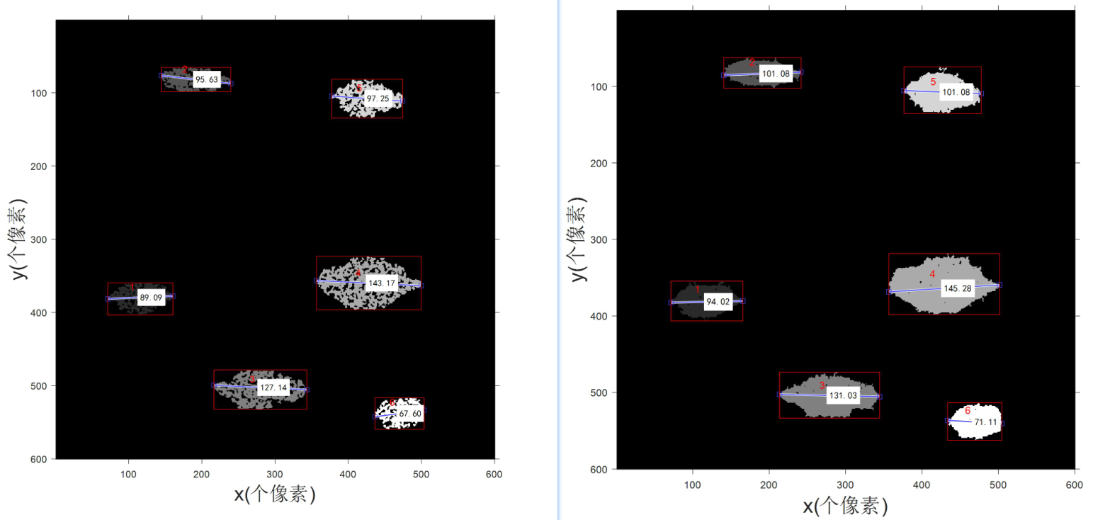 Matlab 最大最小feret卡尺直径实现_feret直径-CSDN博客