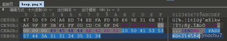 在这里插入图片描述