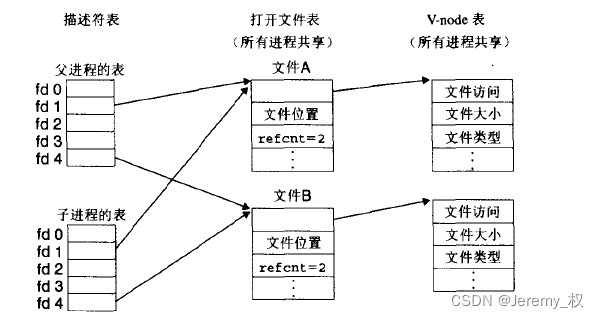 父进程和子进程