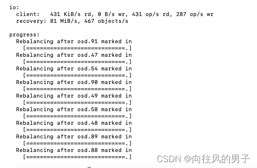 【ceph】ceph集群的节点机器重启，导致磁盘的lvm消失，如何恢复呢～～满满的都是干货