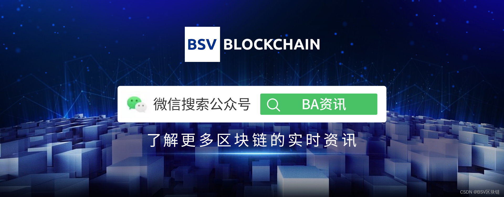 【活动回顾】BSV区块链协会参加「We Are Developers」世界大会