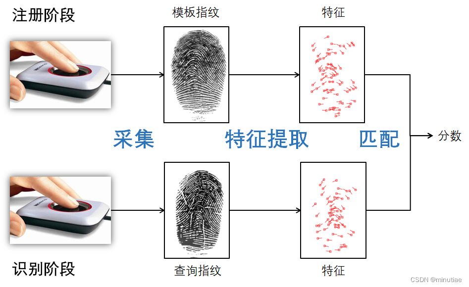 指纹识别综述(4): 指纹匹配