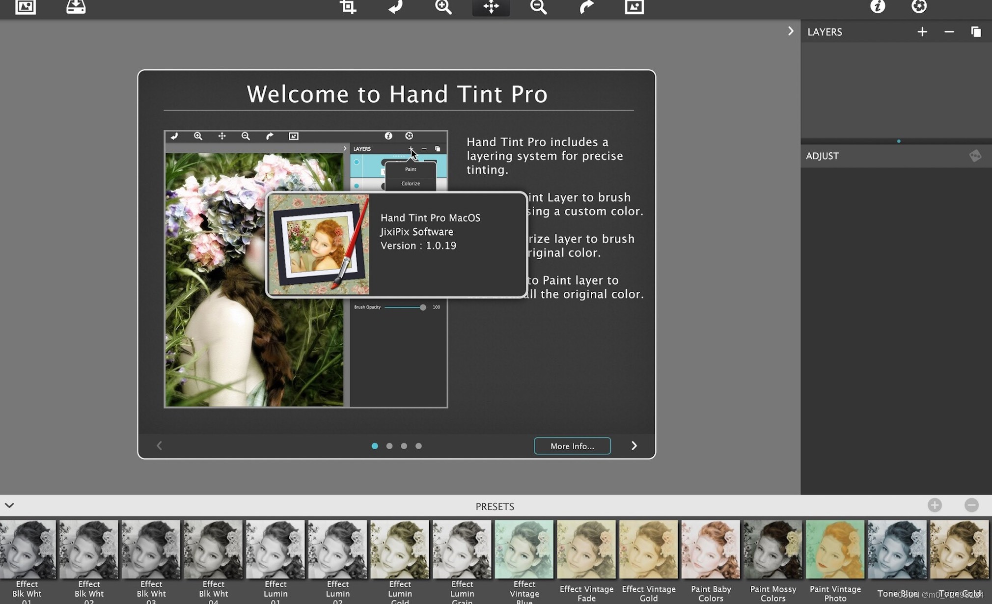 JixiPix Hand Tint Pro 1.0.23 instal the last version for mac