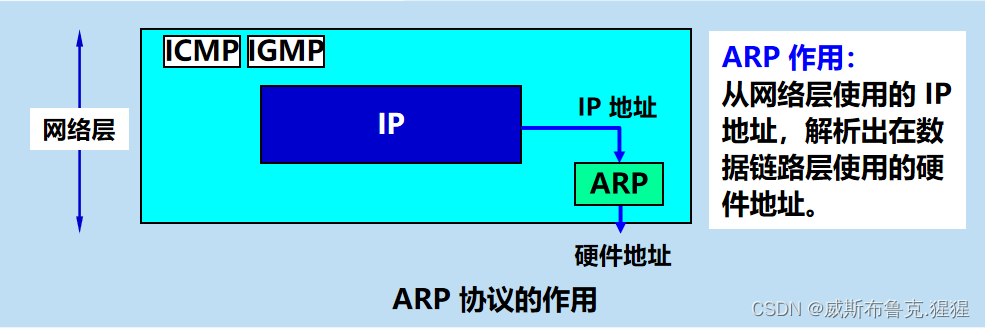 数据链路层及网络层协议要点