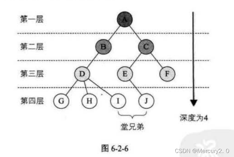 树的层次