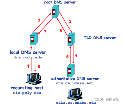 2.5 DNS 应用 -- 1. DNS 概述