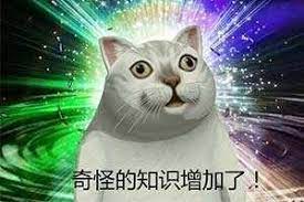 新的知识增加了
