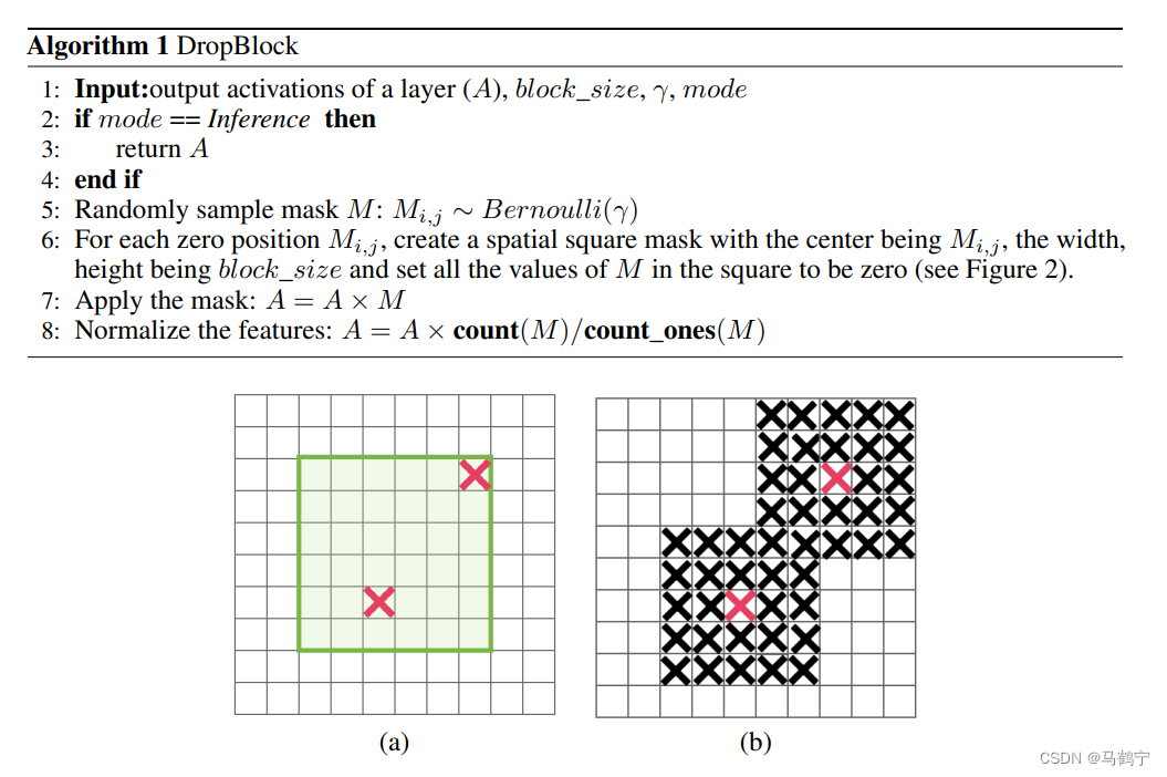 DropBlock伪代码