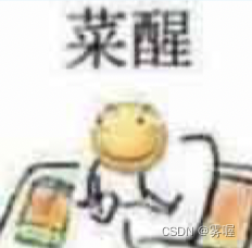 在服务器上搭建nacos集群---记录我的心酸历程