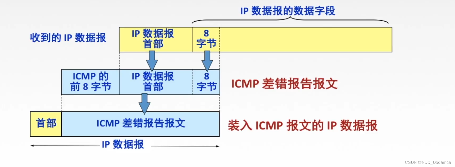 计算机网络-网络层（ARP协议，DHCP协议，ICMP协议）