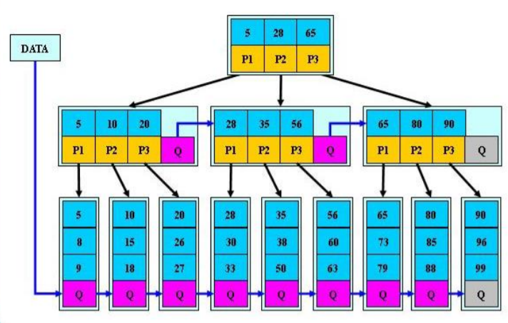 df856af4c1a741f795409e16b9c137b3.png?