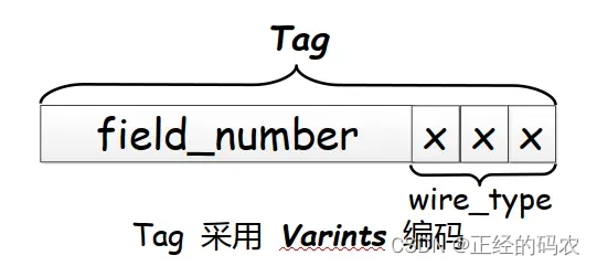 ProtoBuf 编码原理