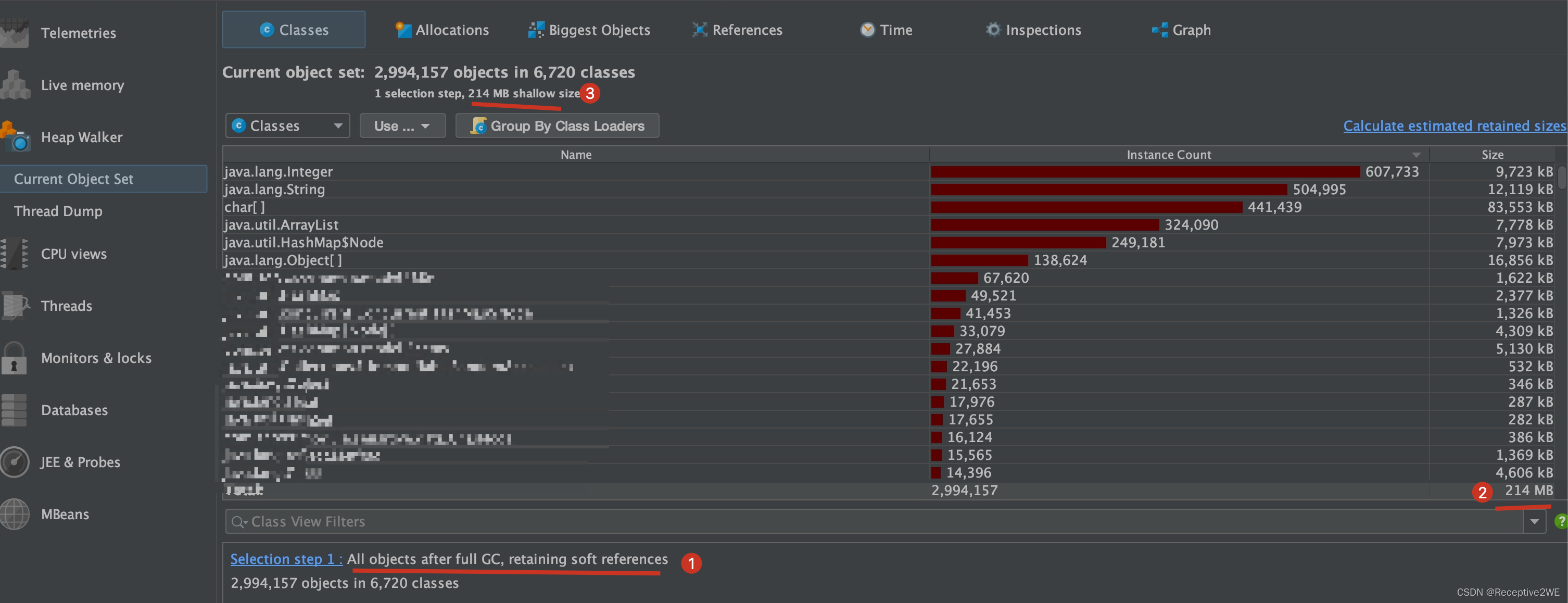 All objects after fullGC, retaining soft references