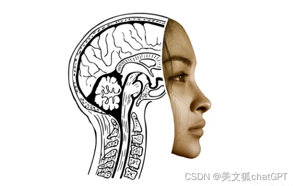 ChatGPT的50种神奇用法，让你从此告别低效率！