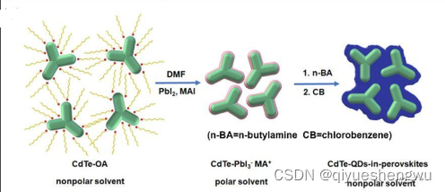 CdTe量子点负载柔红霉素/藤黄酸|CdSe@ZnS/AgNCs银纳米簇修饰荧光量子点|碲化镉量子点修饰铜纳米簇CdTeQDs-CuNCs