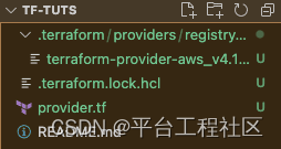 Terraform——强大且灵活的 IaC 工具｜平台工具链系列05