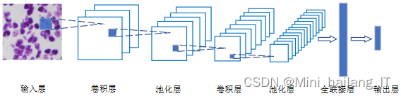 毕业设计：基于计算机视觉的病理细胞图像分割算法系统