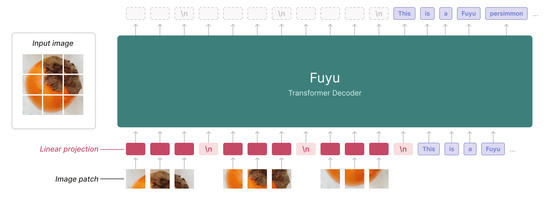 Fuyu 8b A Multimodel Architecture For Ai Agents Fuyu Multimodel Csdn博客