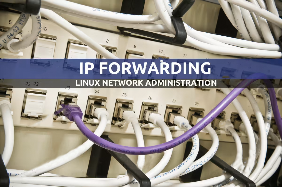 Linux IP Forwarding路由转发实验