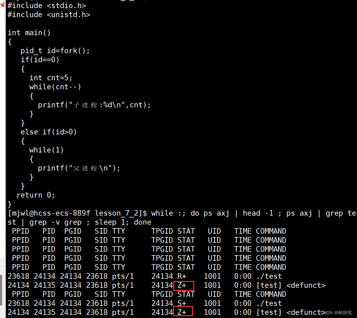 Linux修炼之路之进程概念，fork函数，进程状态