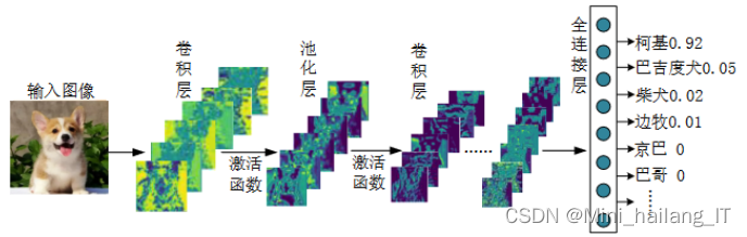 毕业设计：基于深度学习的宠物狗种类识别 人工智能 YOLO