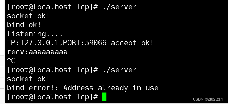 C 语言实现TCP 通信，以及地址复用