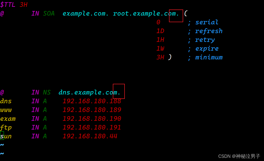 Linux中搭建DNS 域名解析服务器（详细版）