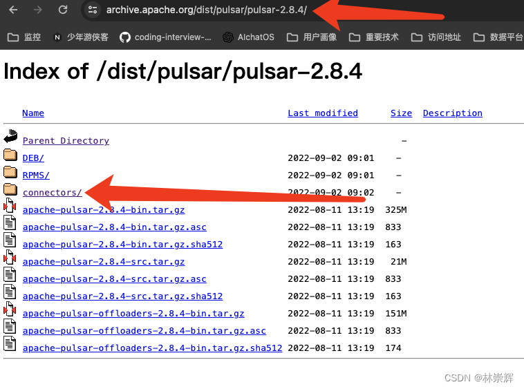 Pulsar IO实战