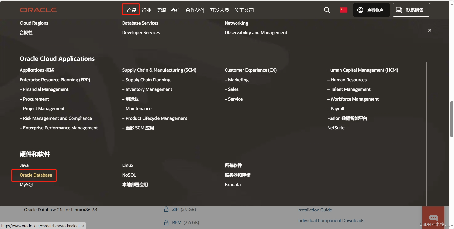 Oracle的安装以及可视化界面工具的安装_oracle可视化工具-CSDN博客