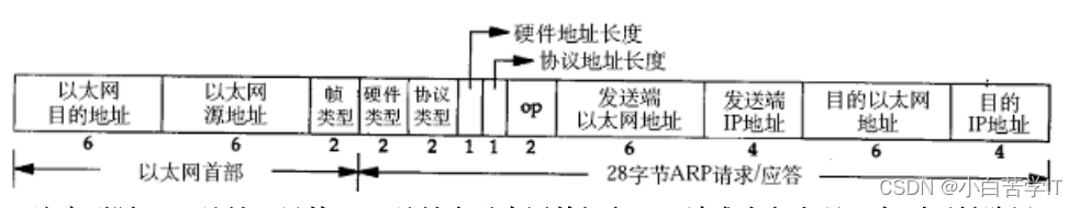 深入探索数据链路层：网络通信的基石