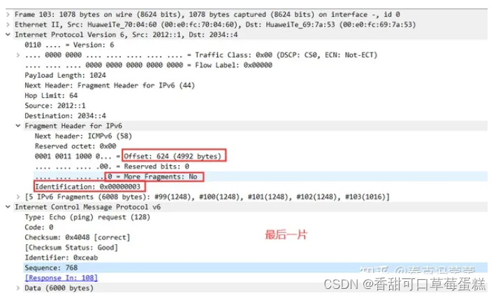 基于 Wireshark 分析 IP 协议