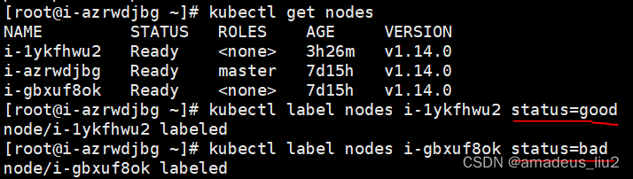 k8s:通过nodeSelector将pod调度到含有指定标签的结点上