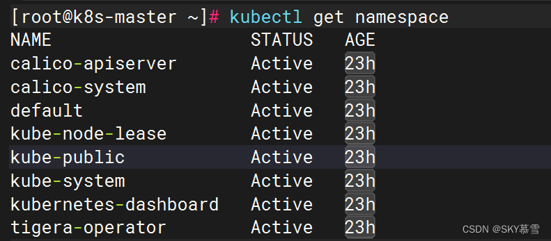 k8s基本使用(namespace,pod增删查)-持续更新中