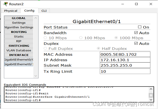 计算机网络综合组网实验