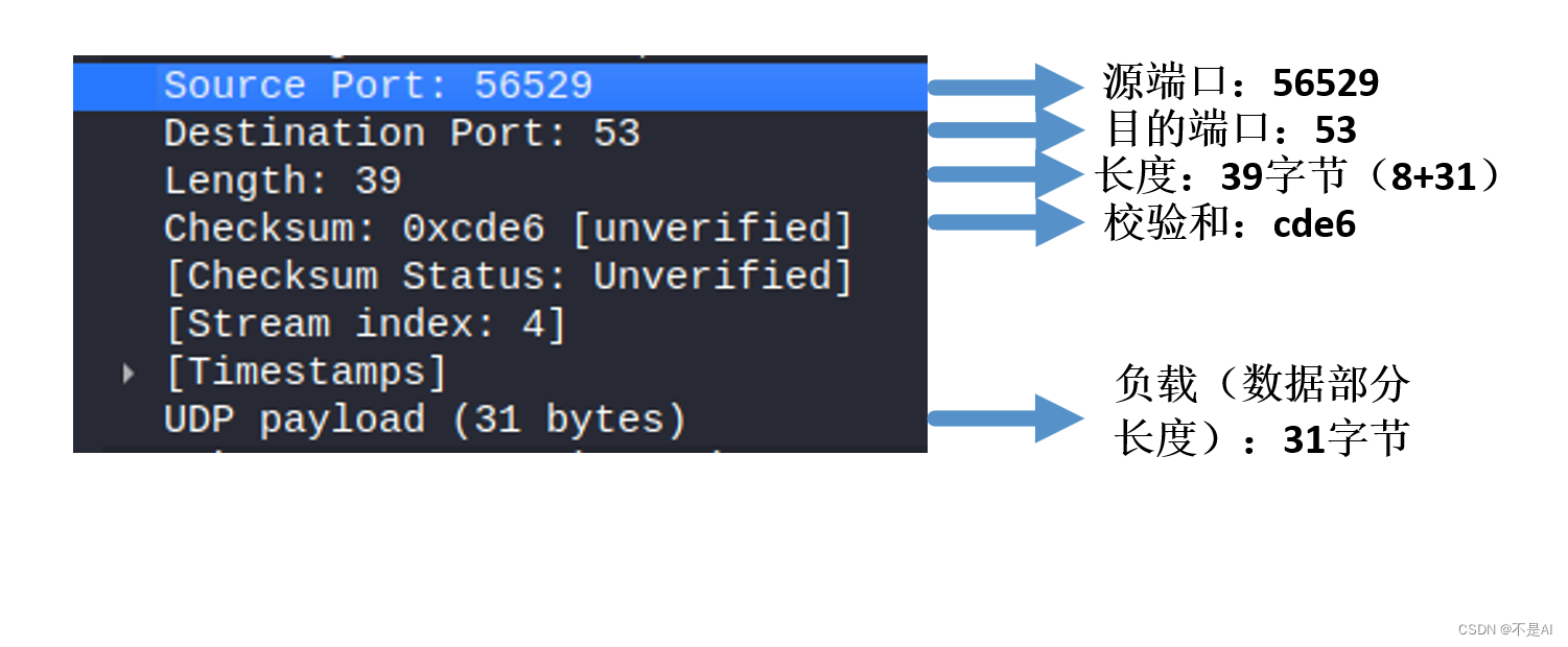 【网络技术】【Kali Linux】Wireshark嗅探（三）用户数据报（UDP）协议