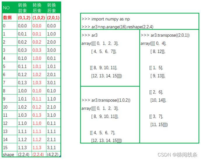 numpy基础之transpose