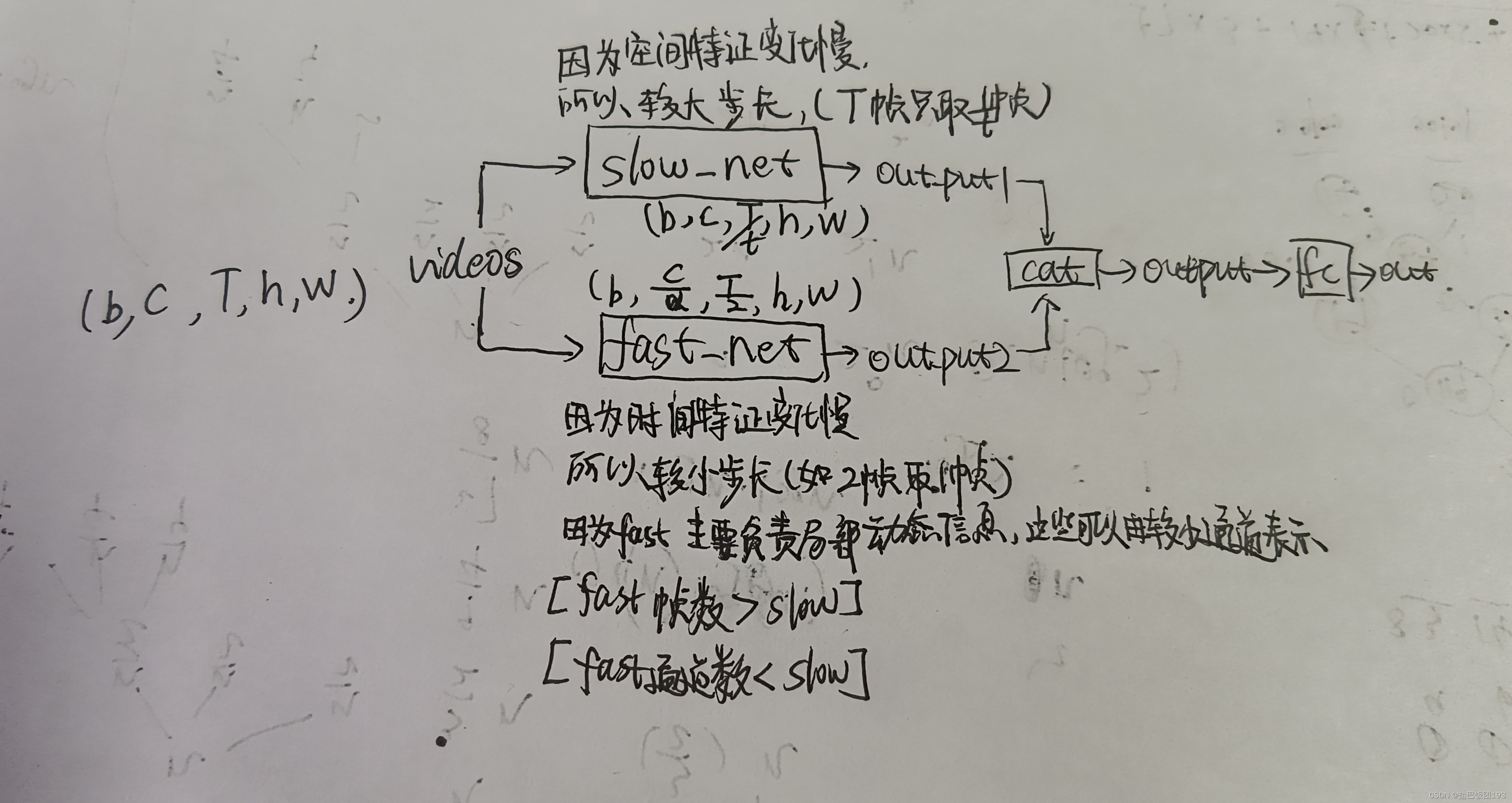 slowfast network