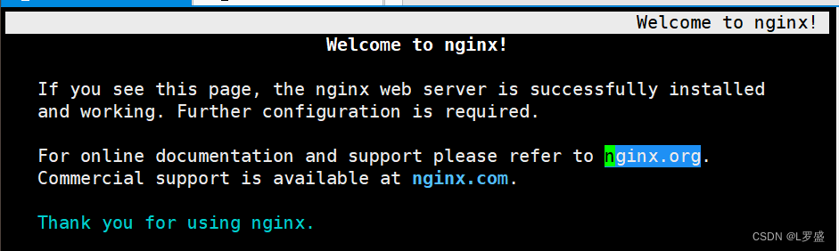 Nginx网站服务