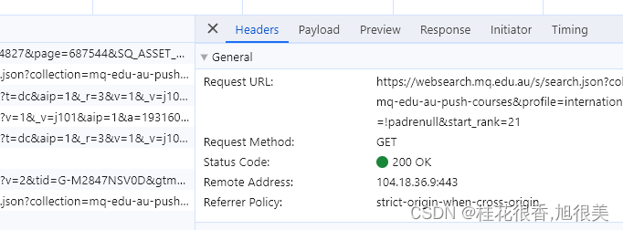 request 添加 Query String Parameters (Payload)