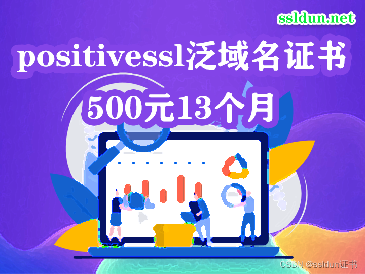 positivessl泛域名证书500元13个月