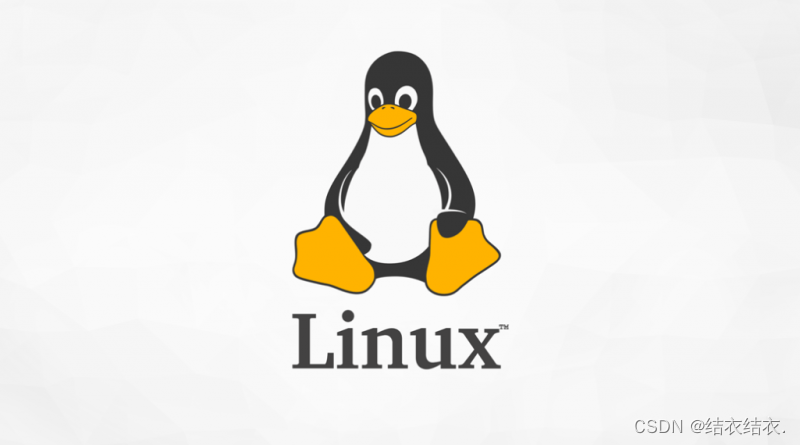 初识Linux——基本指令（详解）1