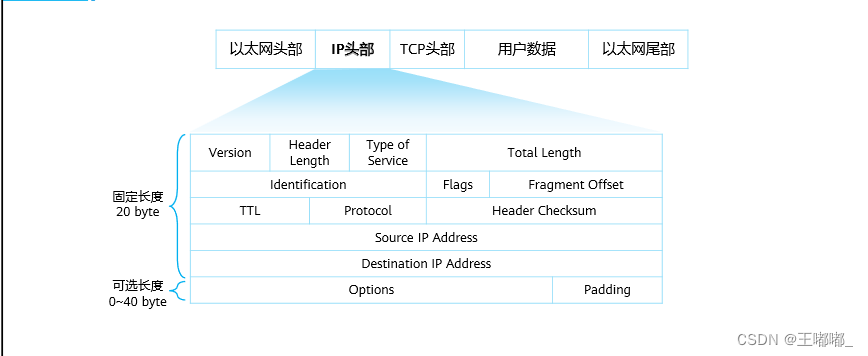 网络层协议及IP编址