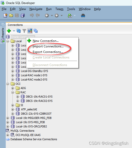 SQL Developer <span style='color:red;'>小</span><span style='color:red;'>贴</span><span style='color:red;'>士</span>：备份和恢复连接信息