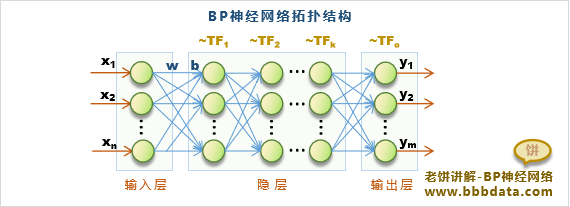 BP的通用结构