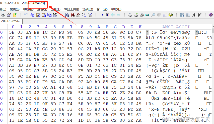 计算机服务器中了rmallox勒索病毒怎么办，rmallox勒索病毒解密流程步骤