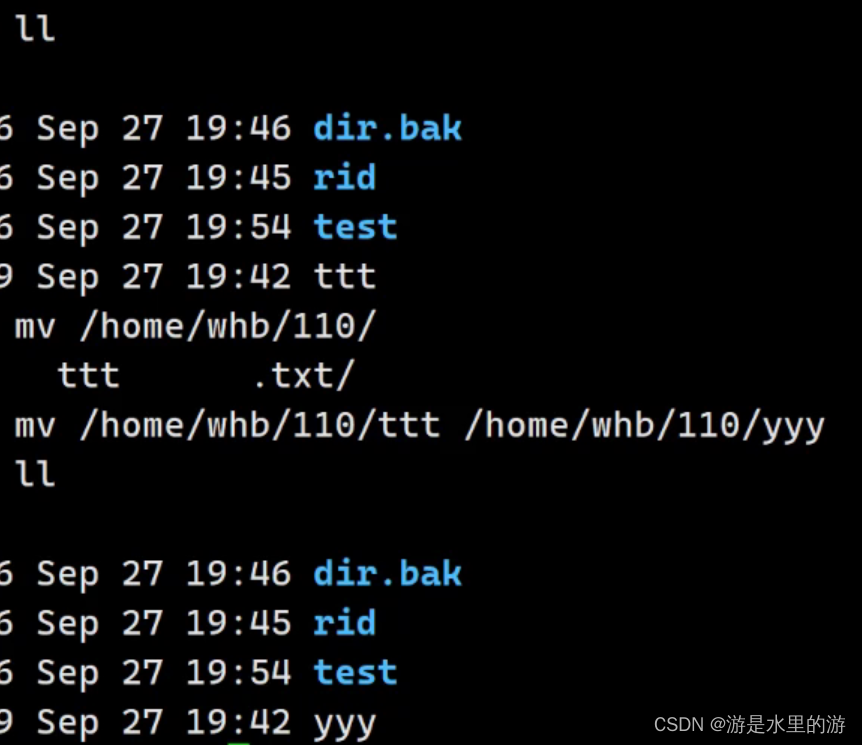 Linux基本指令2