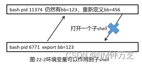 学会用bash在linux写脚本 (一)