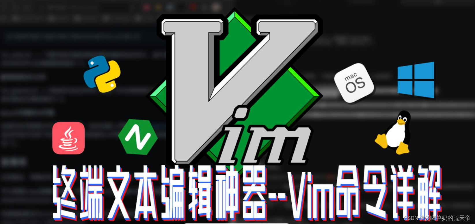 【Linux文本编辑艺术】：从入门到熟练，Vim大师之路揭秘_linux vim编辑命令-CSDN博客