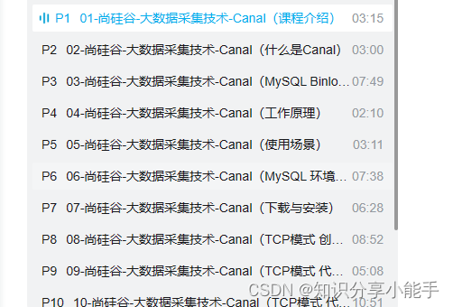 “数据同步大揭秘：Canal工具如何让实时处理变得轻而易举？“